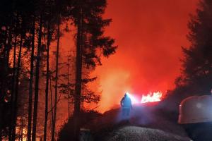In Österreich steht eine Fläche von 110 Hektar in Flammen.