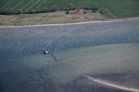 Der Wal liegt nun schon viele Wochen in Flachwasser-Bereichen.