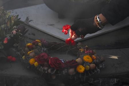 Eine Person legt eine Mohnblume an der Gedenkstätte 