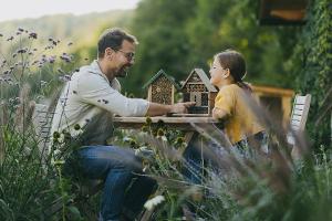 Nistplätze und Nahrung: So wird der Garten zum Insektenparadies