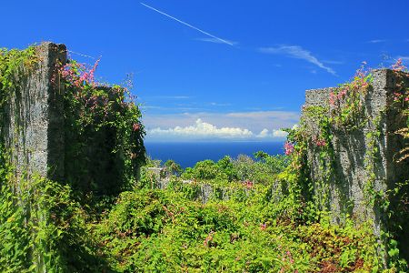 Überwucherte Ruinen auf Saba