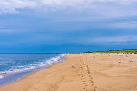 Strand auf Plum Island