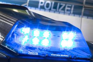 Polizeieinsatz: Ein Junge wird in einer Kleingartenanlage von einer Dogge angegriffen und schwer verletzt. (Symbolbild)