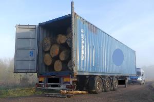 Holztransport 1