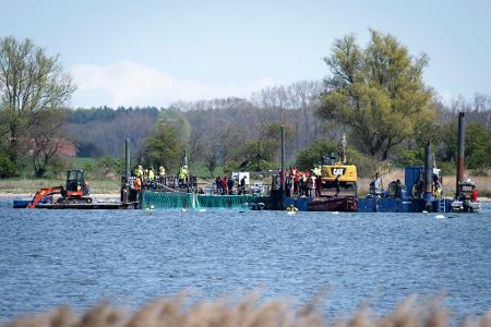 Das Netz ist runter: die Reise für den Buckelwal kann losgehen
