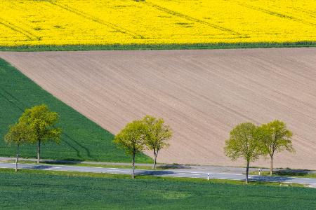 Trockene Landschaft in Niedersachsen