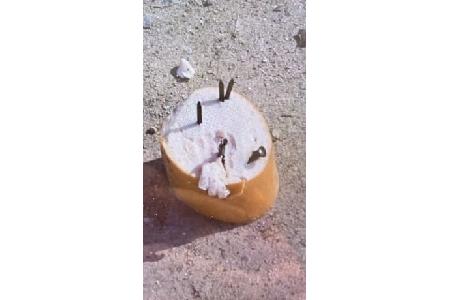 Tierköder Lippstadt