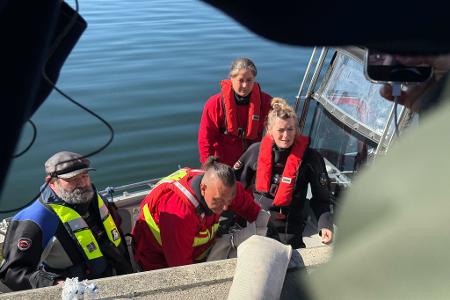 Helfer besteigen ein Boot, um zum Wal hinauszufahren. 
