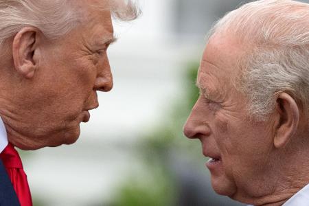 In seiner Rede bezog sich Charles auch auf den Klimawandel, den Trump immer wieder de facto leugnete.