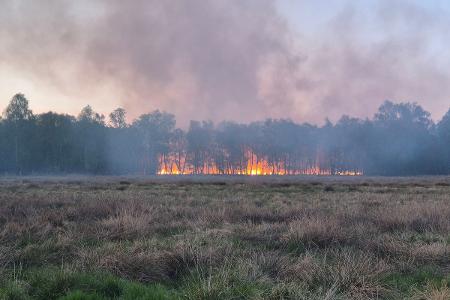 Quelle: Polizeidirektion Bad Segeberg
