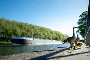 Viel Sonne und Temperaturen über 20 Grad sind in den nächsten Tagen zu erwarten. 