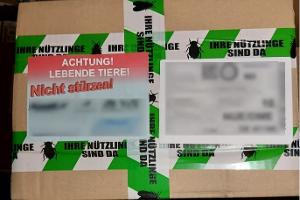 Originalbild Bundespolizei