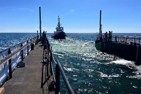 Dieses von der Rettungsinitiative zur Verfügung gestellte Foto zeigt den Schlepper hinter einem gefluteten Lastschiff mit dem Buckelwal in der Ostsee. 