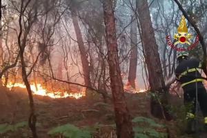 Wegen des Waldbrands haben mehr als 3.500 Menschen ihre Häuser verlassen müssen.