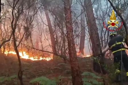 Wegen des Waldbrands haben mehr als 3.500 Menschen ihre Häuser verlassen müssen.
