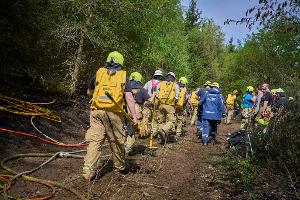 Bei Friesenhagen kämpften zeitweise mehr als 400 Kräfte gegen die Flammen.