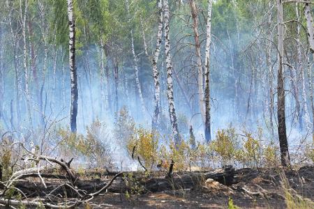 Der Waldbrand auf dem mit Kampfmitteln belasteten Gelände bei Jüterbog ist der bislang größte Waldbrand in dieser Saison in Brandenburg.