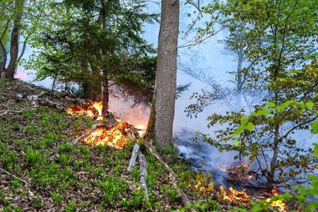 In Werdohl näherten sich die Flammen einer Wohnsiedlung, konnten aber gestoppt werden.