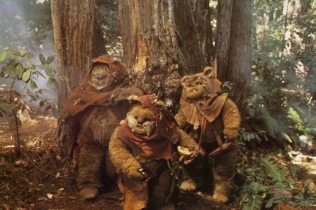 So klein und schon bei den Ewoks?
