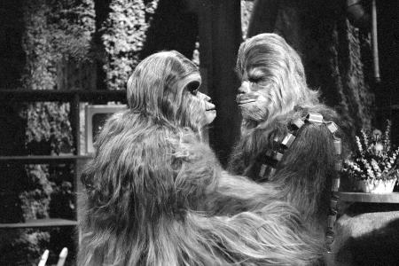 Zuhause bei Familie Chewbacca