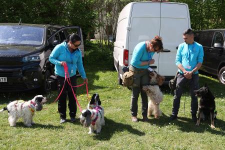 Bargeld- und Goldspürhunde sind im Einsatz.
