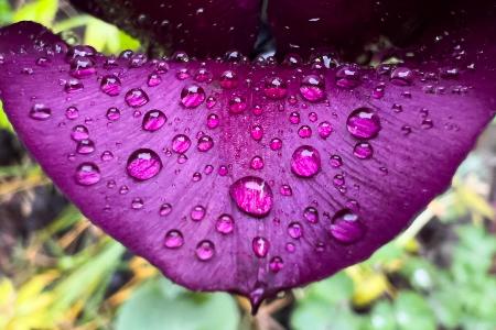 Wetterumschwung: Es wird regnerisch