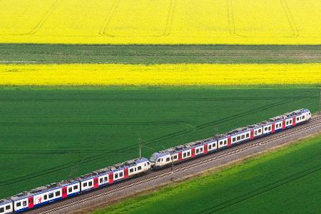 S-Bahn fährt durch blühende Landschaft in NIdersachsen