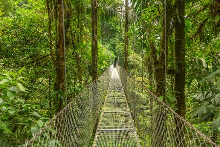 Mistico Park Hängebrücken, Costa Rica
