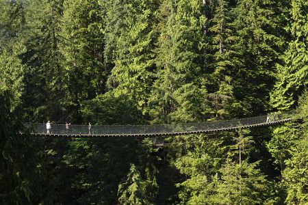 Capilano Suspension Bridge, Kanada