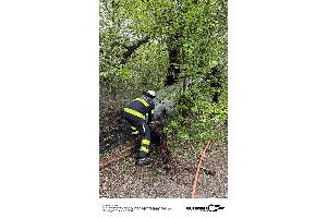 Foto Feuerwehr München