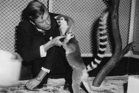 Sir David Attenborough (geboren 1926)