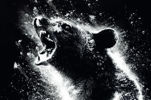 Cocaine Bear