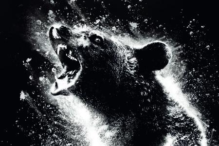 Cocaine Bear