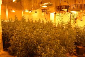 Plantage