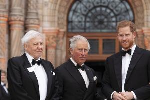 Prinz Harry würdigt David Attenborough mit emotionalem Essay