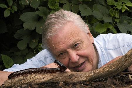 David Attenborough