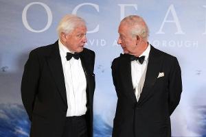 100. Geburtstag: So feiern Royals und Stars David Attenborough