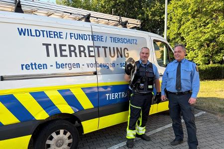 Tiereinsatz Greifvogel BAB65
