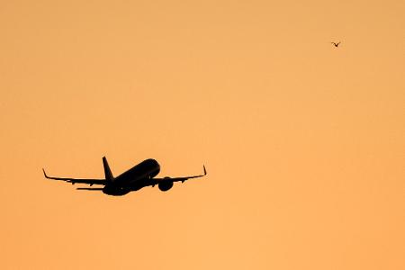 Das Paar soll sich auf dem Flug zwischen Panama und Argentinien kennengelernt haben. (Symbolbild) 