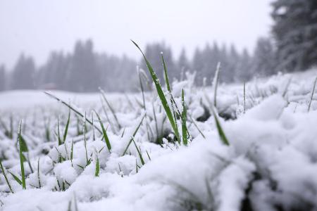 Riedbergpass: Schneefall in den Bergen – Bayerns höhere Lagen werden wieder tief winterlich