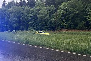 Pkw im Grünstreifen