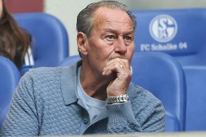 Stevens sieht Schalke noch nicht bundesligareif