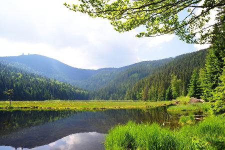 Bayerischer Wald 