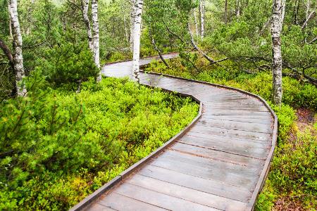 Nationalpark Sumava