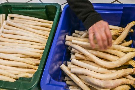 Derzeit bekommen Verbraucher Spargel so günstig wie sonst nicht in der Saison. (Archivbild)