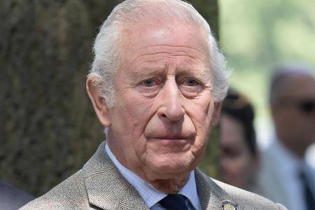 Tödlicher Reitunfall bei Royal Windsor Horse Show erschüttert Charles