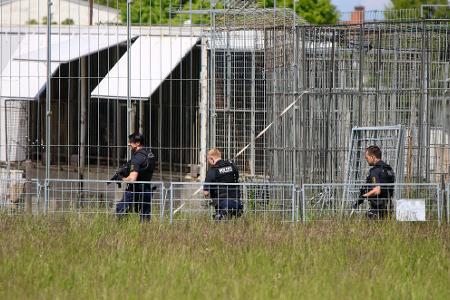 Der Tiger war aus einer privaten Haltung entkommen.