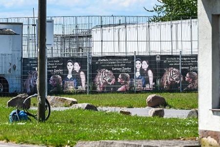 Die Gehege genügt laut Behörden nicht den Mindestanforderungen. 