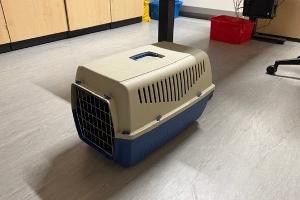 Transportbox