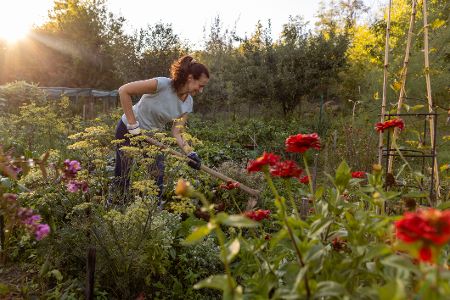 Frau macht Gartenarbeit im Garten